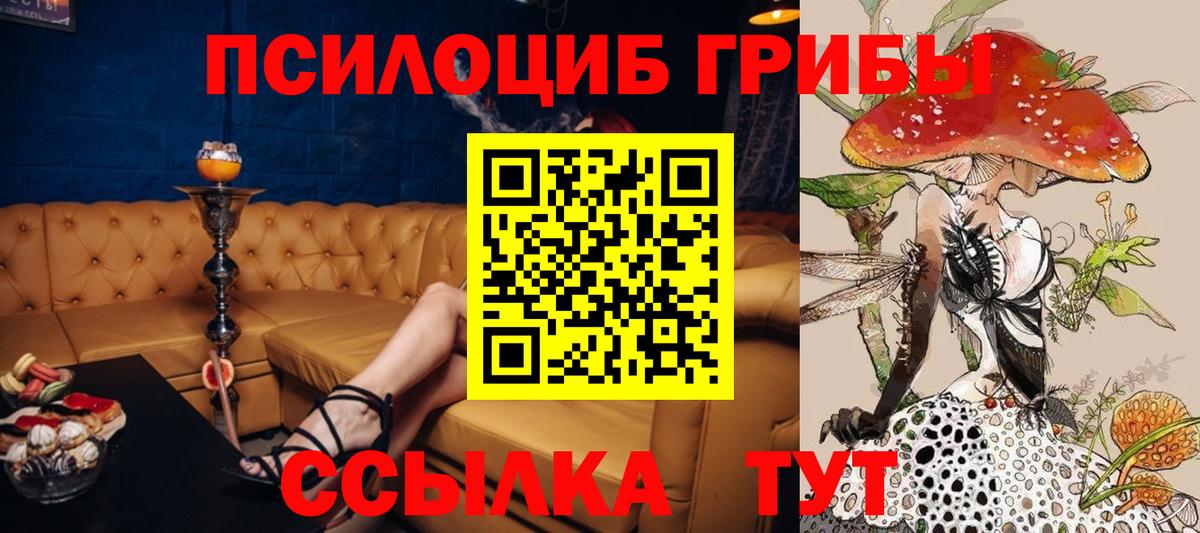 Псилоцибиновые грибы MAGIC MUSHROOMS Балашов