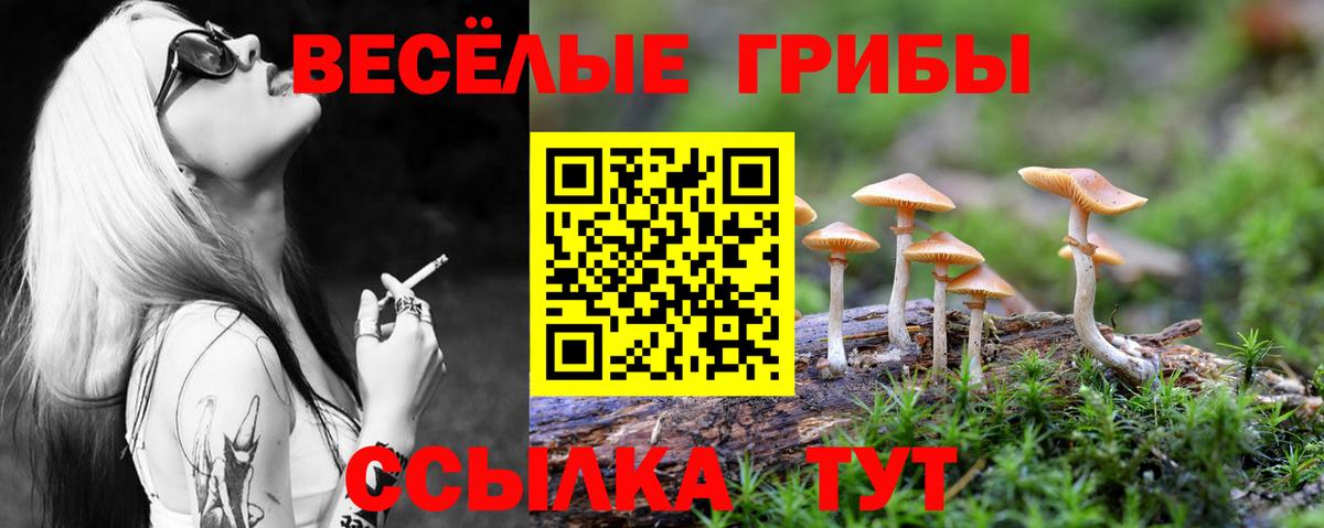 купить   Галлюциногенные грибы мухоморы  Псилоцибиновые грибы Cubensis  Вход с VPN  Балашов 